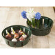 Lot de 3 bacs a bulbes H7 x diam 22 cm