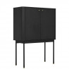 Cabinet - Panneaux de particules - Décor noir - 2 portes - Ferrel - L 100 x P 45 H 140 cm - GAMI