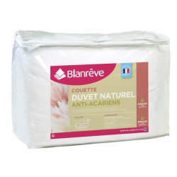 BLANREVE Couette Naturelle Duvet Percale de Coton - Anti-acariens - 240x260cm