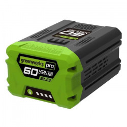 GREENWORKS TOOLS Batterie Li-Ion - 60 V - 2 Ah