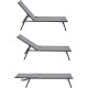 Lot de 2 bains de soleil pliant - 1 personne - Gris