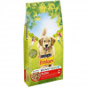 FRISKIES Croquettes Vitafit Active au boeuf - Pour chien adulte - 10 kg
