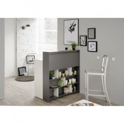 EKIPA Meubles multi fonction 2 portes + 1 tiroir - Gris ombre et Blanc - L 104 x P 59 x 115 cm - EKY