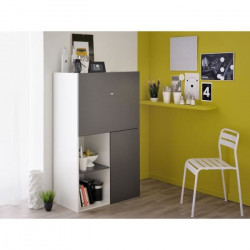 EKIPA Meubles multi fonction 2 portes - Gris ombre et Blanc - L 80 x P 48 x 137 cm - FLIP