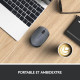 LOGITECH - Souris Sans Fil M170 - Gris