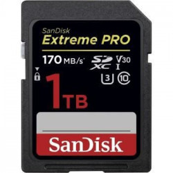 Carte mémoire flash - SANDISK -  - 1TB -  -  (SDSDXXY-1T00-GN4IN)