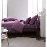 TODAY Drap plat 100% coton - 240x300 cm - Figue TODAY