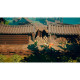 9 Monkeys Of Shaolin Jeu Xbox One