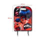 LADYBUG PROTEGE DOSSIER  MIRACULOUS