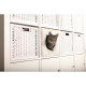 TRIXIE Grotte pour chat pour étagere de rangement Forme de cube 44090