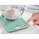 SoeHNLE Page Compact 300 Balance électronique - 5 kg / 1 g - Menthe