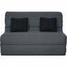 DUNLOPILLO Banquette BZ 2 places - Tissu Gris + 2 coussins noir - L 140 x P 99 x H 98 cm - ALICE - Made in France