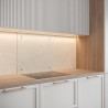 Saint-Gobain Fond de hotte en verre TRANSPARENT 45x90