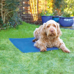 ROSEWOOD Tapis de refroidissement L - Bleu - Pour animaux de compagnie