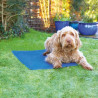 ROSEWOOD Tapis de refroidissement L - Bleu - Pour animaux de compagnie
