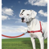 EASY WALK Harnais M - Rouge - Pour chien